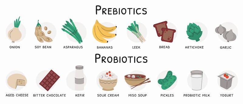 probiotics and prebiotics in foods