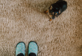 The Lifecycle of a Room: How to Enhance the Longevity of a Room’s Décor
