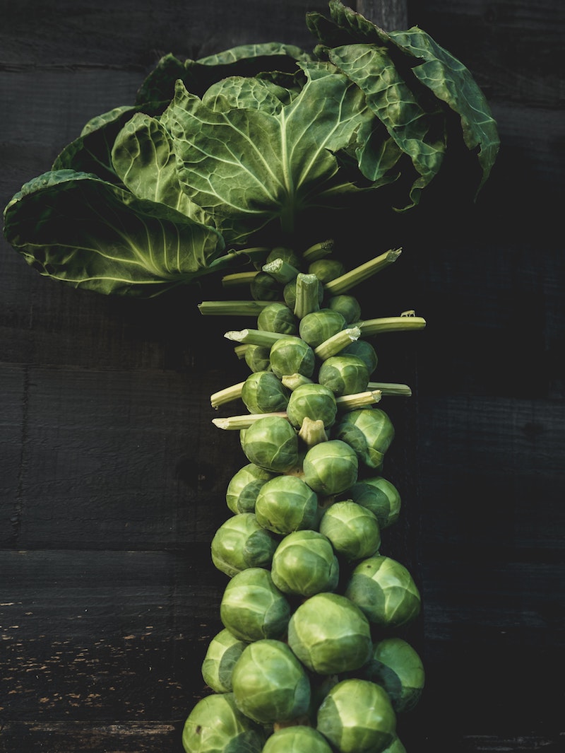 when to harvest brussel sprouts plant