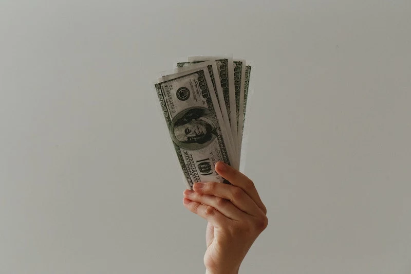 a hand holding dollar bills