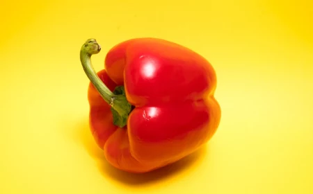 a single red bell pepper