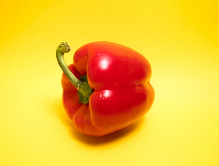 a single red bell pepper