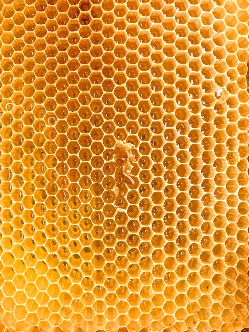benefits of honey honey comb bee hive
