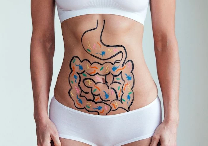 digestive health woman with intestines drawn on stomach