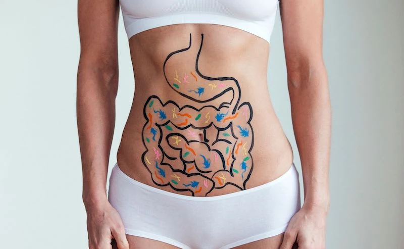 digestive health woman with intestines drawn on stomach