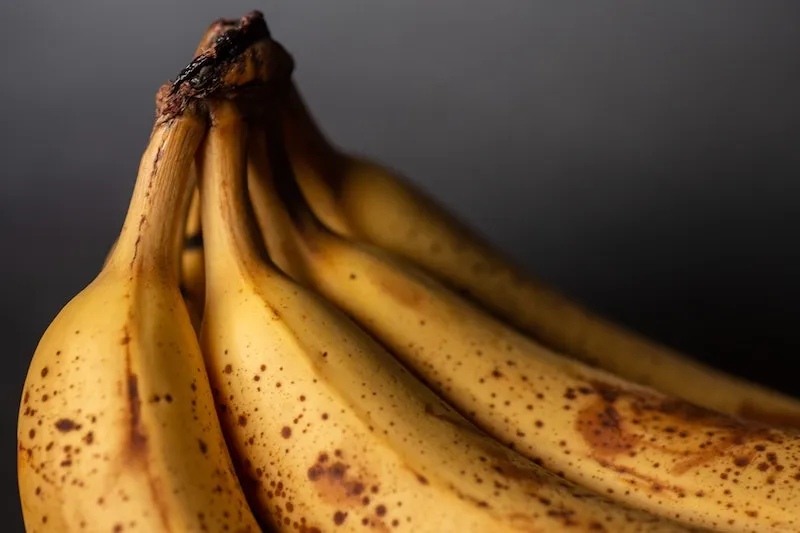 fruit-fly-catcher-ripe-bananas