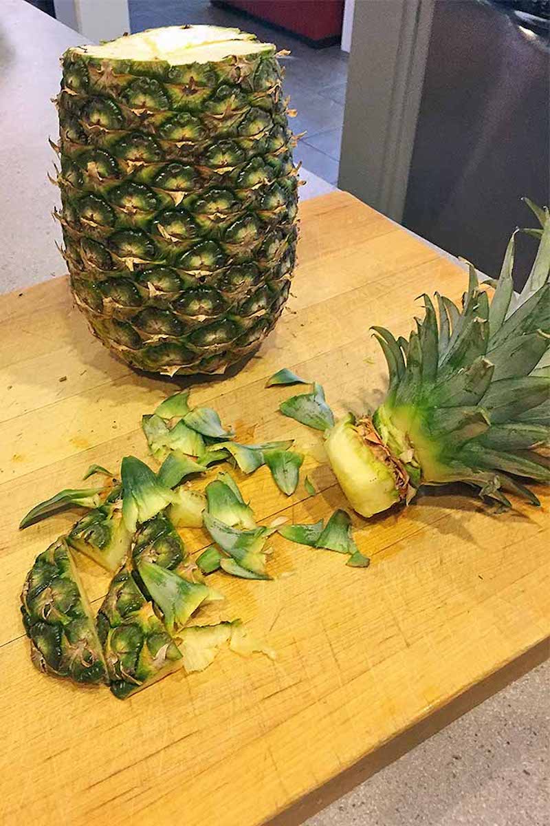growing a pineapple plant indoors