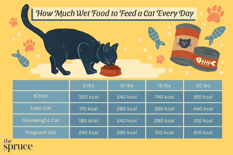 how much canned food to feed