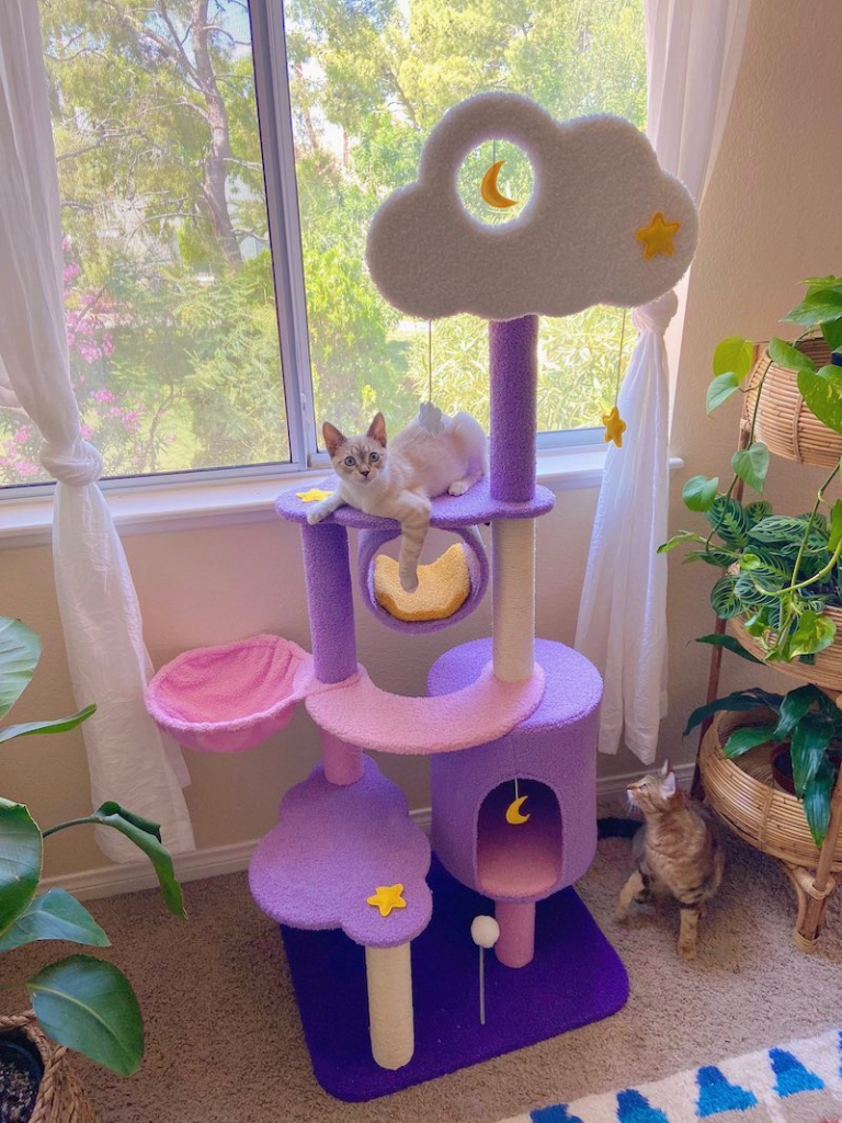 How to stop cats from scratching furniture & peeing 10 Easy Solutions