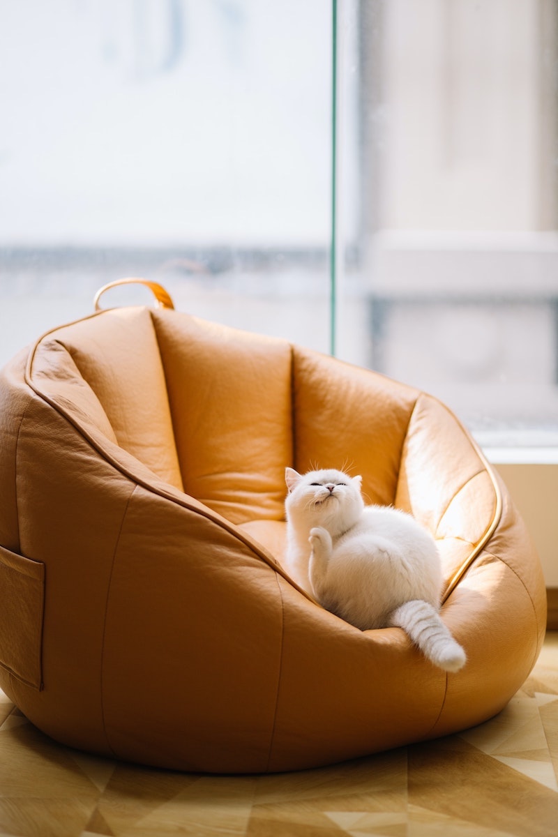 how to stop cats from clawing furniture