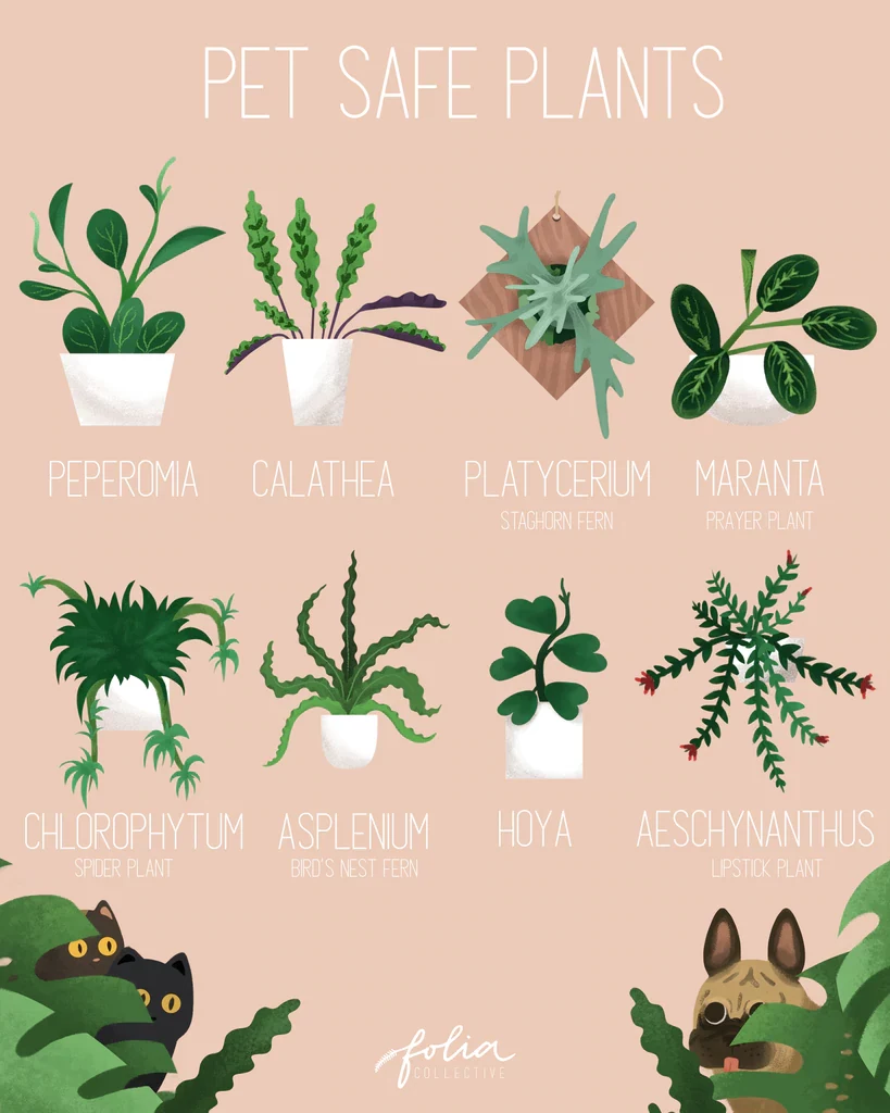 pet safe plants ideаs