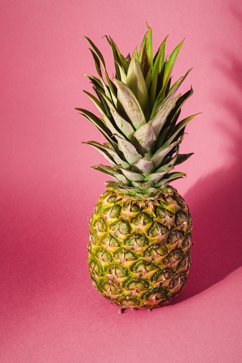 pineapple plant indoor care