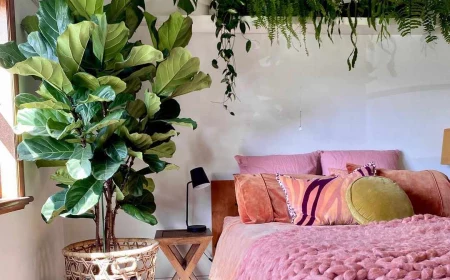 plant aesthetic room decor