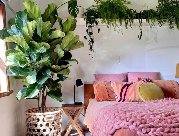 plant aesthetic room decor