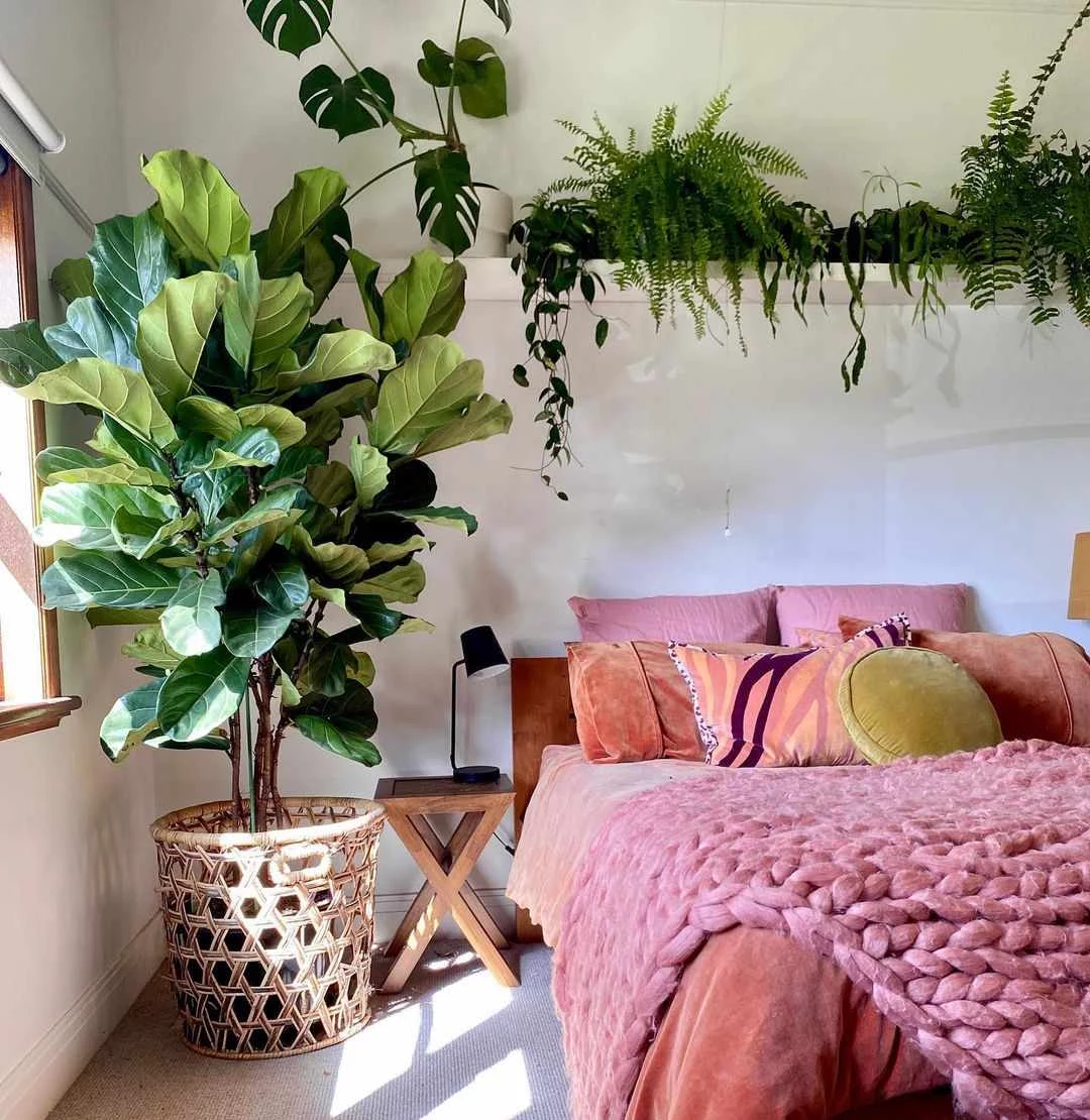 plant aesthetic room decor