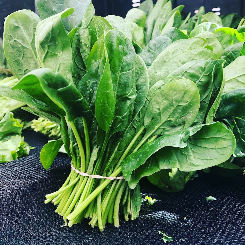 spinach leaves in a bunch against hair loss