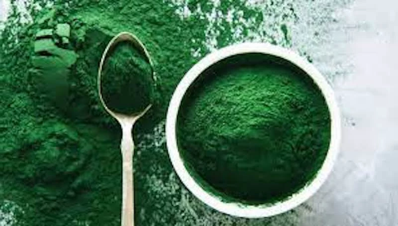spirulina powder green in a spoon