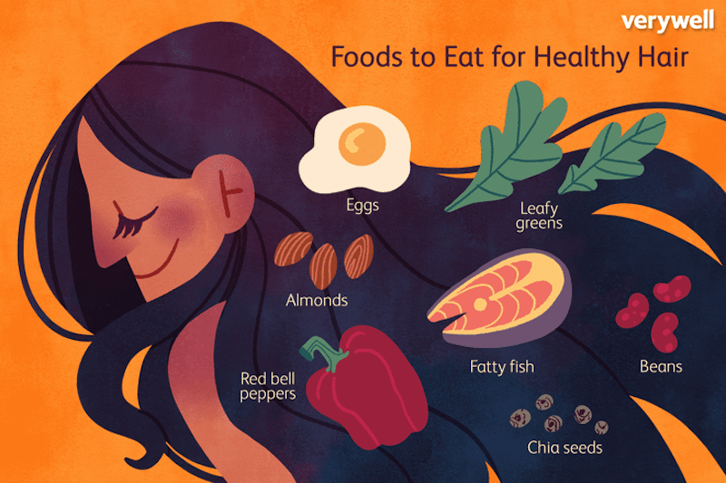 the role of nutrition in hair loss infographic