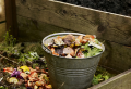 Organic Compost Guide: Tips & Advice for making your own compost at home