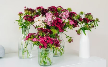 beautiful flowers in vases