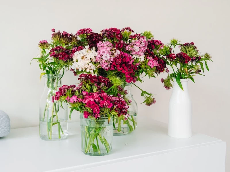 beautiful flowers in vases