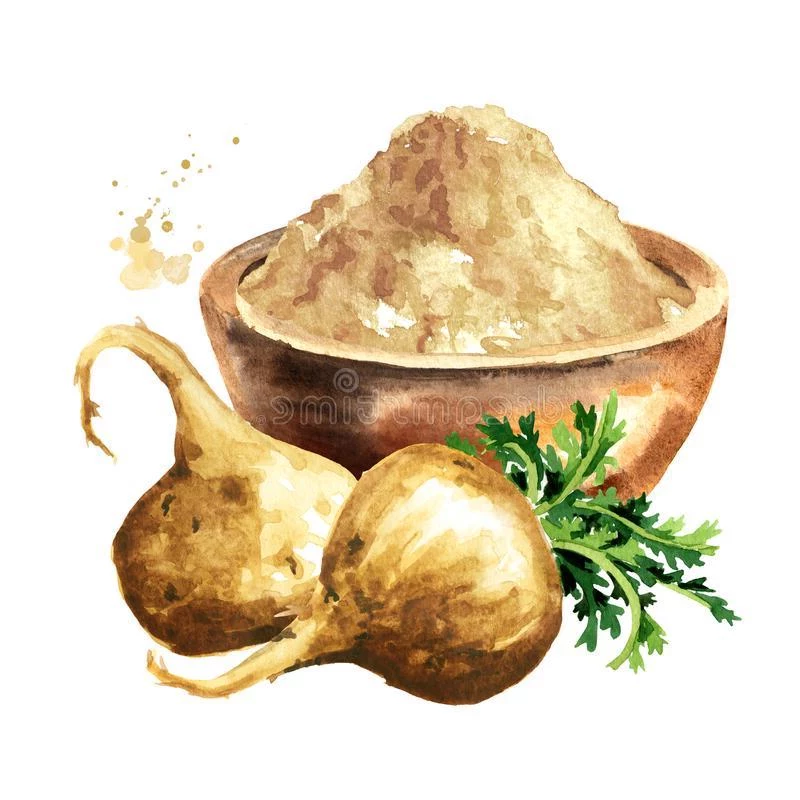 benefits of maca root maca root drawing with root and powder