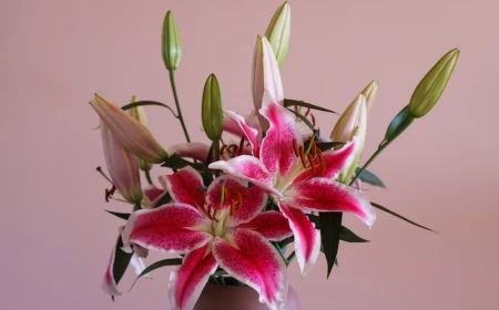 best smelling flowers lily of the valley in pink on pink background