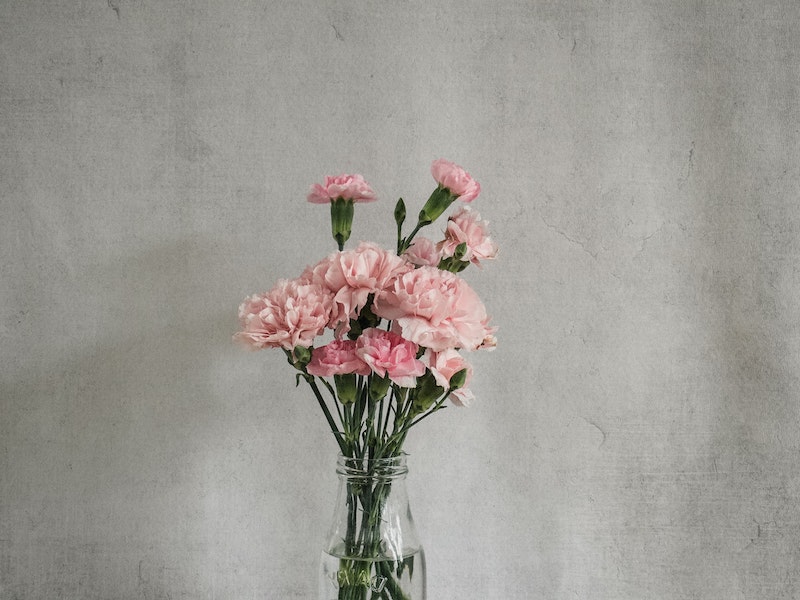 best smelling flowers pink carnations in a vase in front of wall