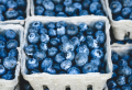 How to wash and store blueberries to keep them fresh & aromatic