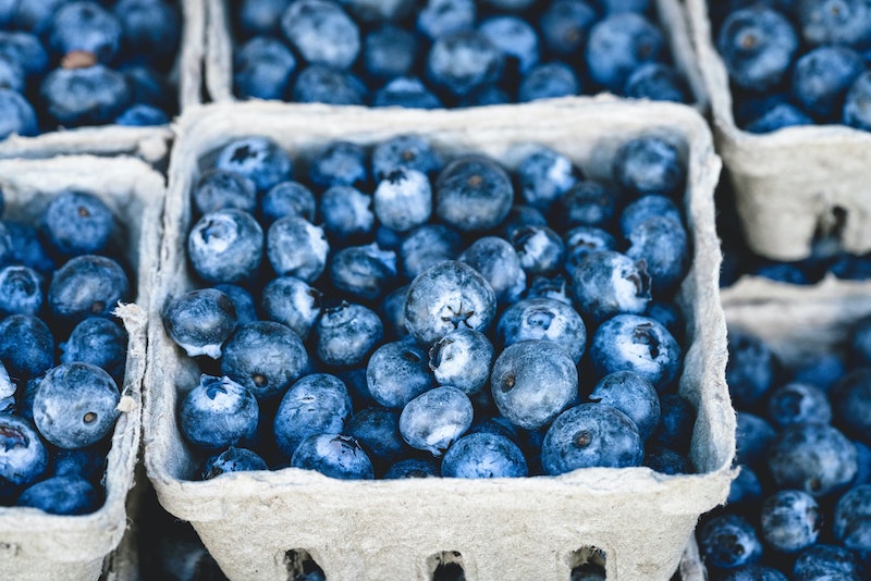 best tips for storing blueberries
