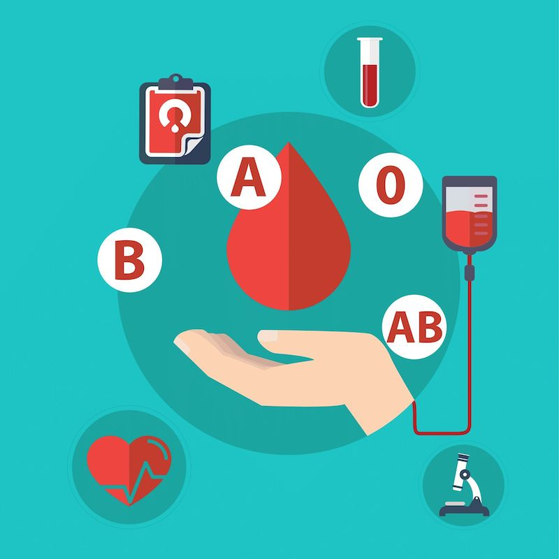 blood type personality blood types drawing