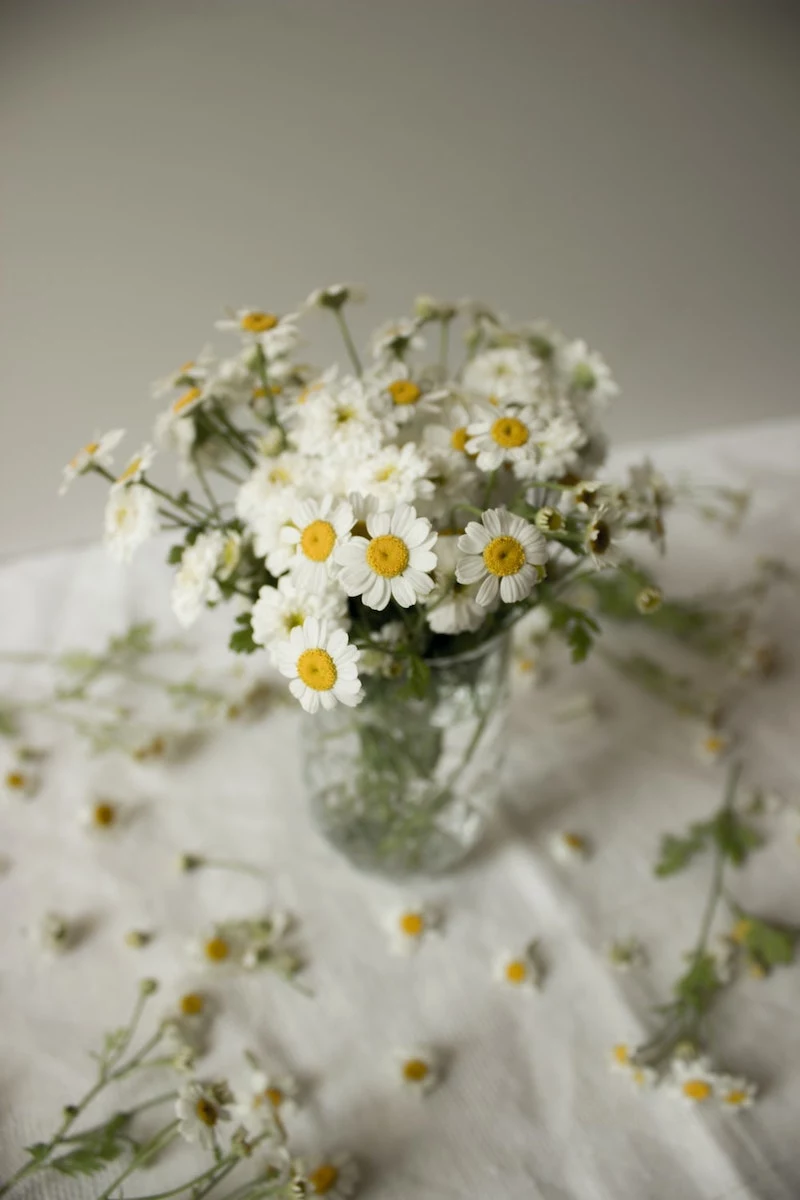 daisies in a clear vase