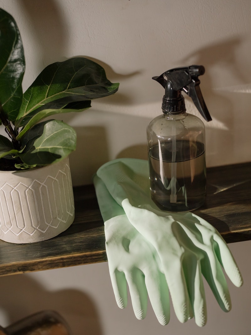diy pest control spray bottle on gloves next to a pot