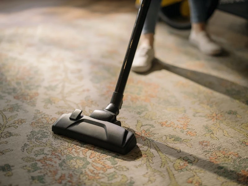 do stink bugs fly woman using her vacuum on floor