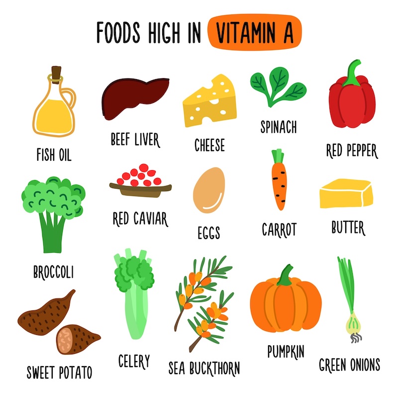 foods high in vitamin a illustration with healthy foods rich in vitamin a organic food collection