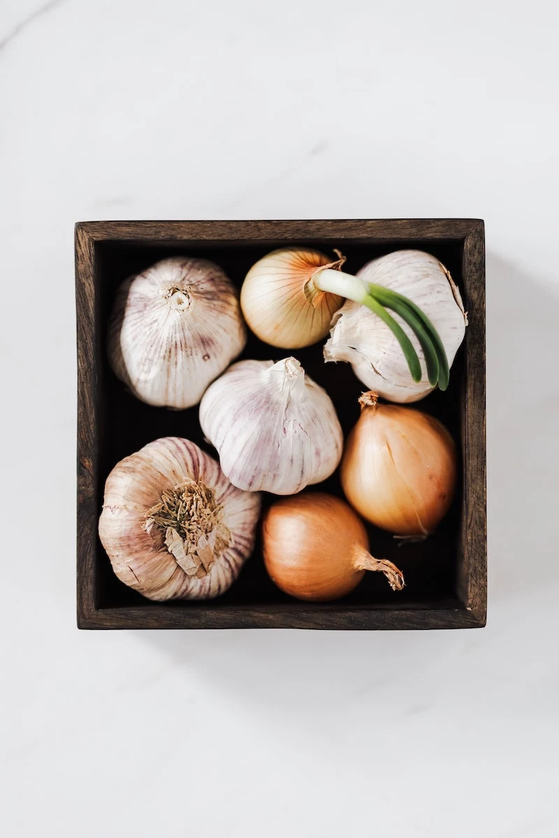 garlic and onion pest control