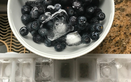 How to wash and store blueberries to keep them fresh & aromatic