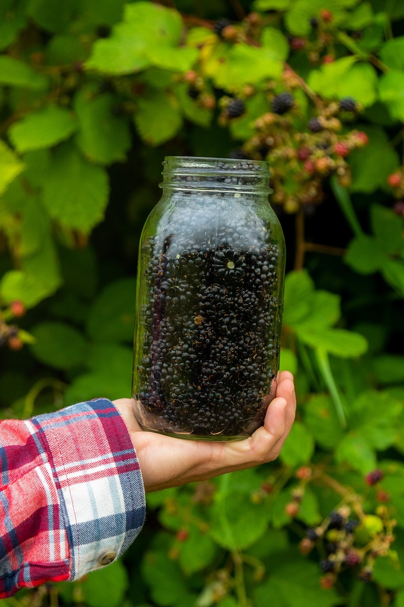 how to clean blackberries with baking soda
