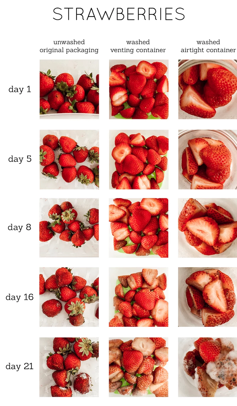 how to clean strawberries and store them