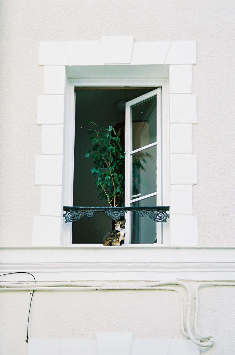 how to get rid of negative energy from home window open with a cat sitting in front of it