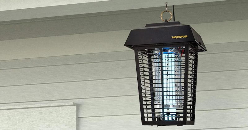 how to get rid of stink bugs hanging bug zapper