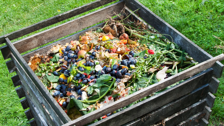 Organic Compost Guide: Everything You Need To Know About Making Your ...