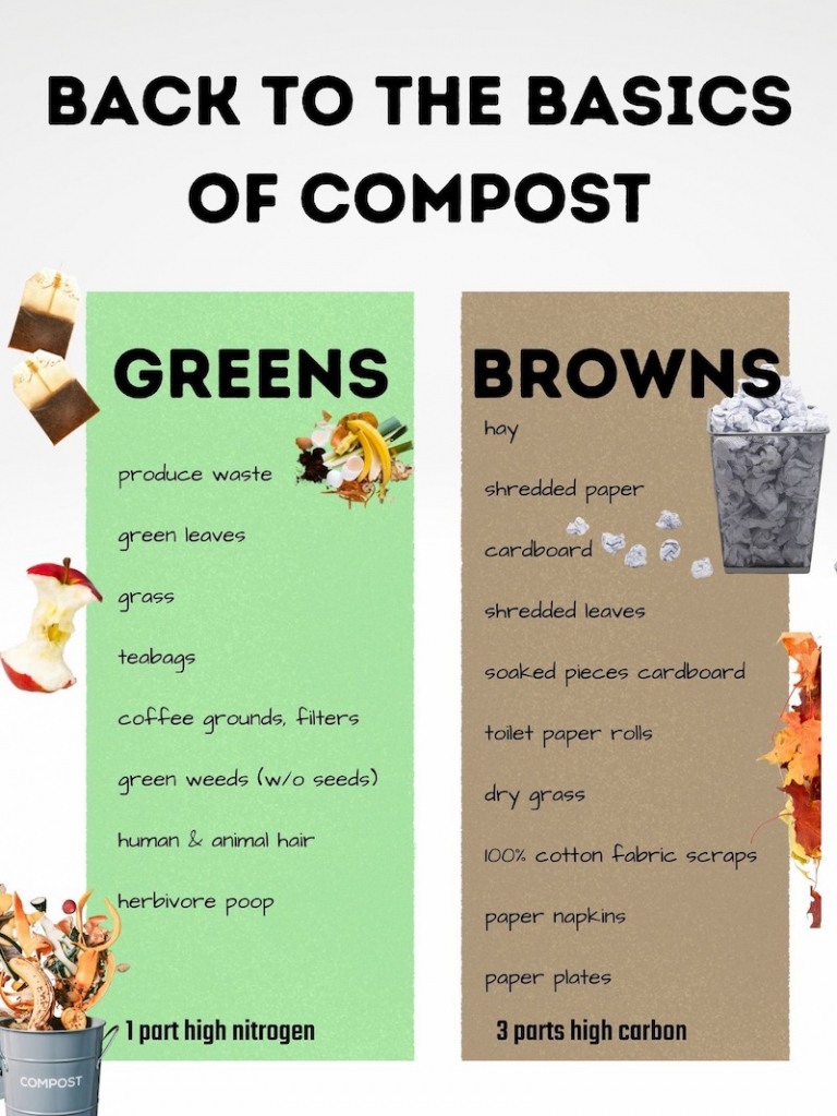 Organic Compost Guide: Everything you need to know about making your ...