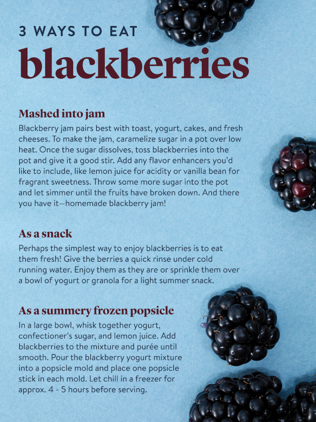 How To ACTUALLY Wash And Store Blackberries To Keep Them Juicy