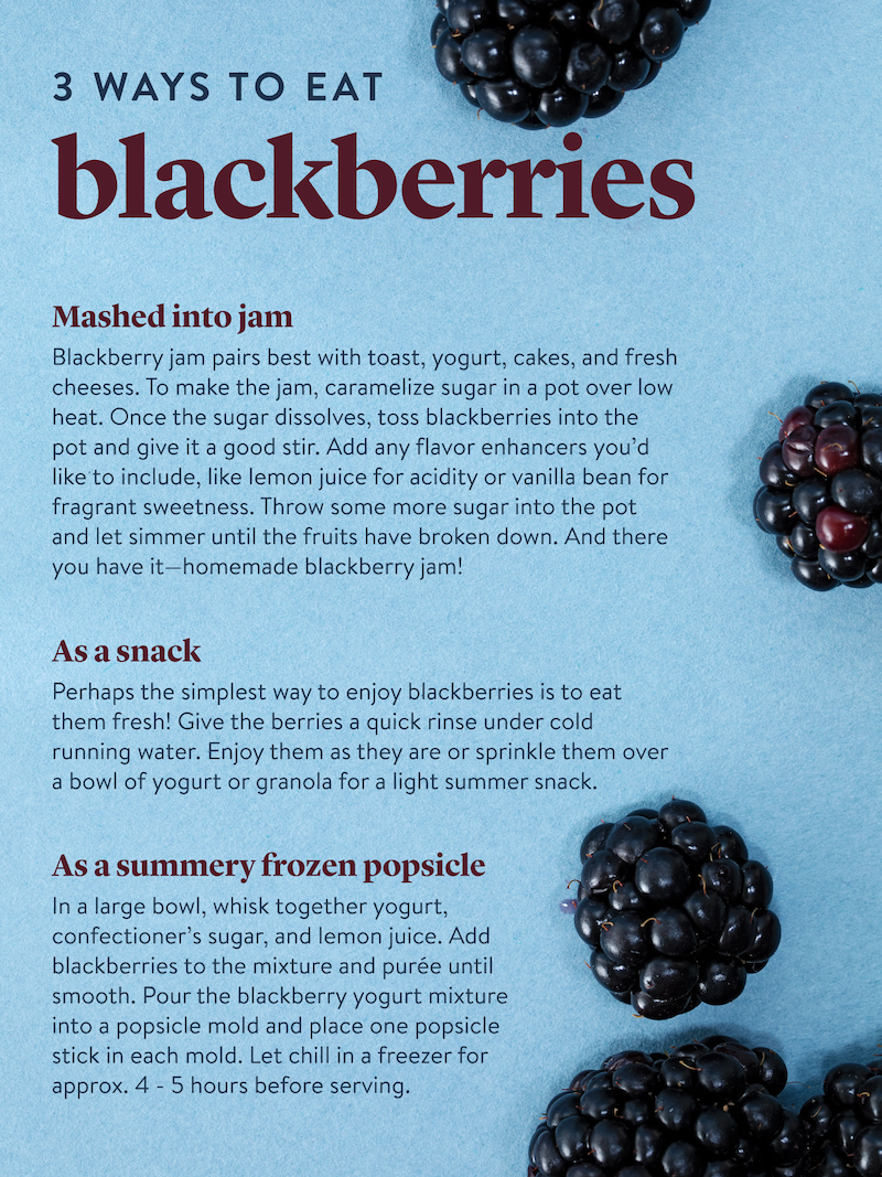 how to store blackberries in the fridge