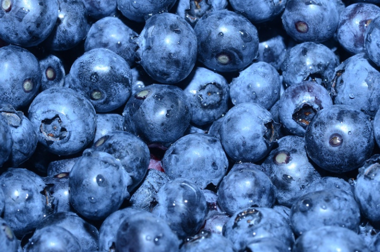 How to Wash and Store Blueberries Tips to Keep Them Fresh & Aromatic