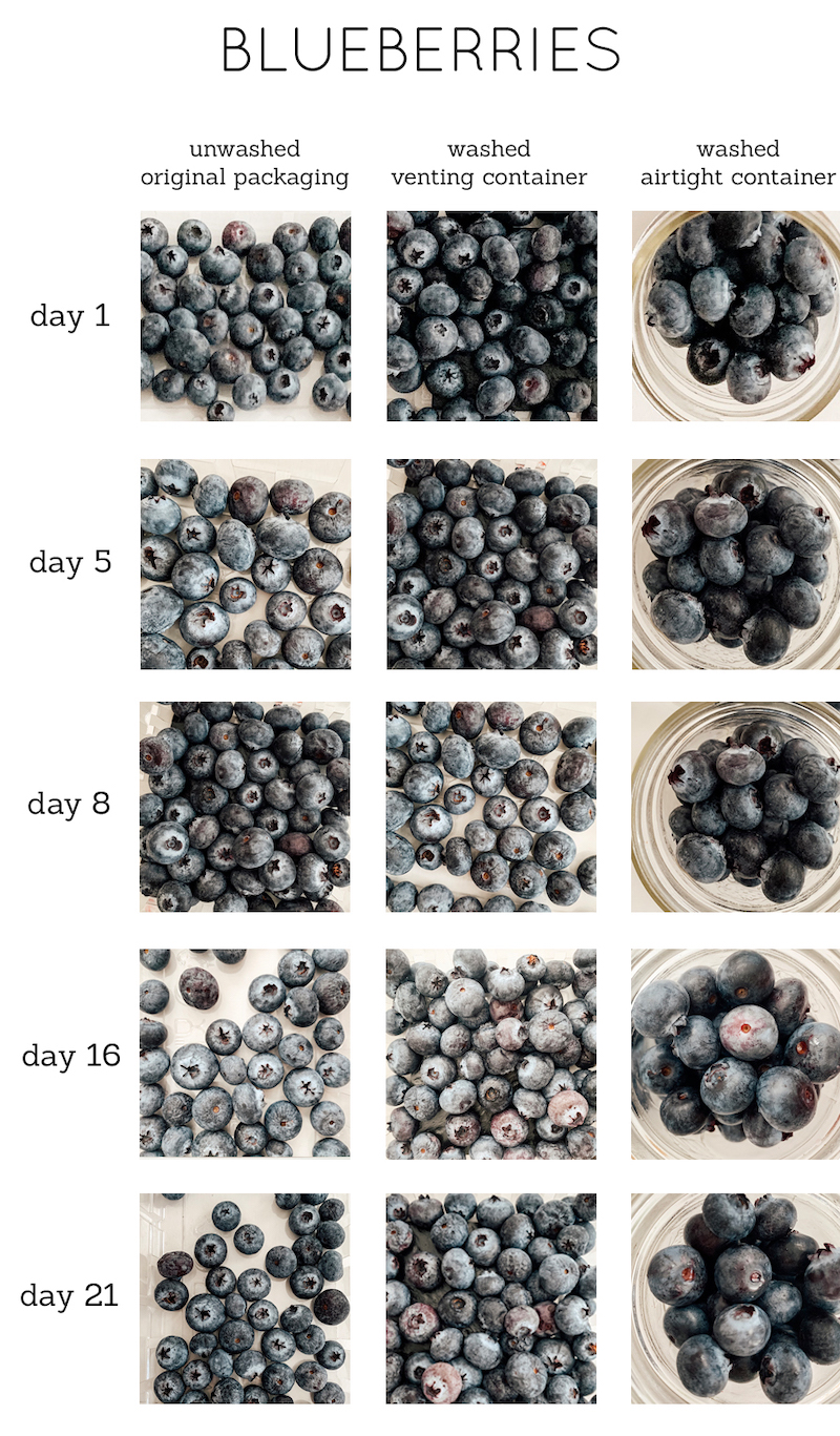 how to store blueberries in a mason jar