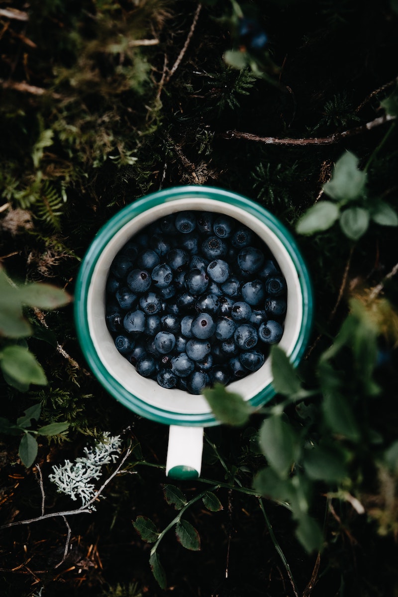 how to store blueberries longer