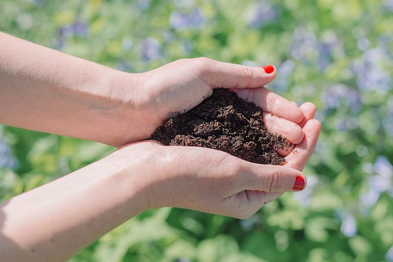 How to use houseplant fertilizer
