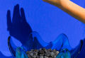 How to wash and store blueberries to keep them fresh & aromatic